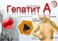 Профилактика вирусного гепатита А