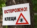 Сезон активности клещей