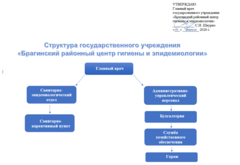 Структура учреждения Структура учреждения